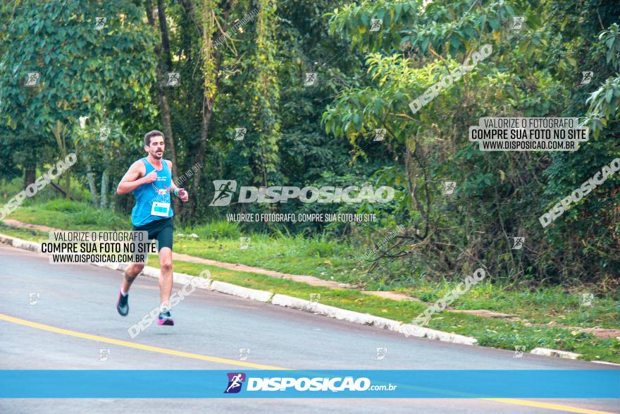 Brasil Corridas - Run 15km - Londrina