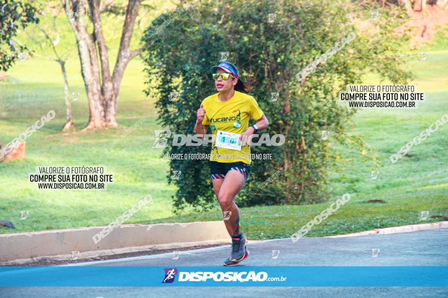 Brasil Corridas - Run 15km - Londrina