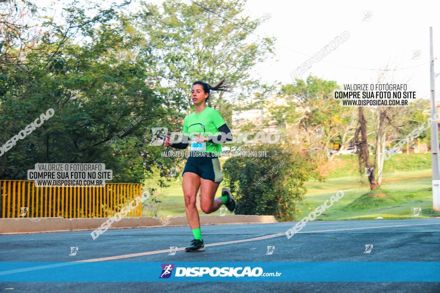 Brasil Corridas - Run 15km - Londrina