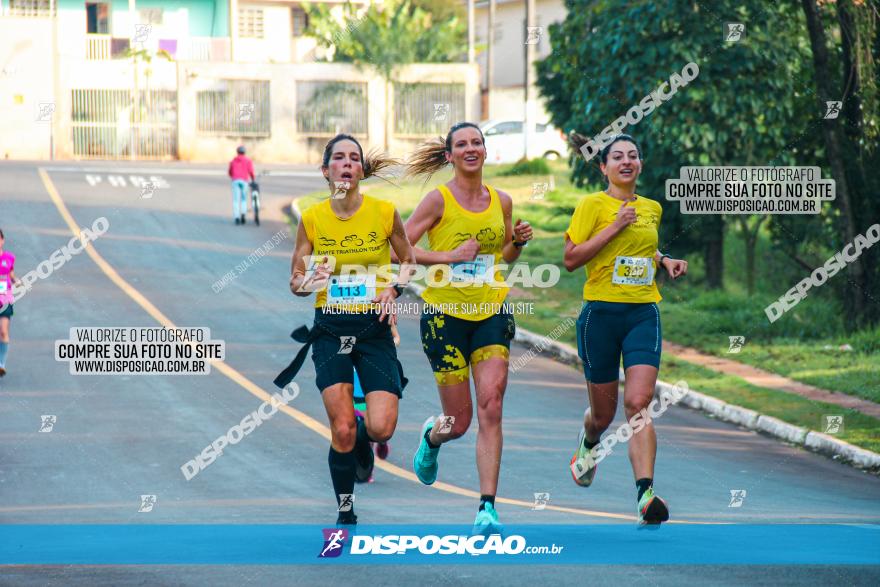 Brasil Corridas - Run 15km - Londrina