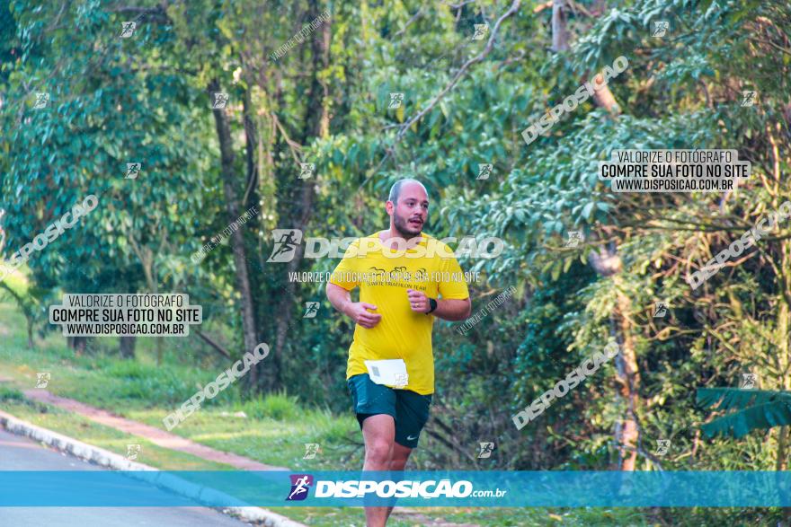 Brasil Corridas - Run 15km - Londrina