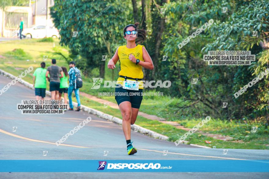 Brasil Corridas - Run 15km - Londrina