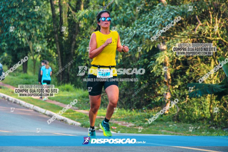 Brasil Corridas - Run 15km - Londrina