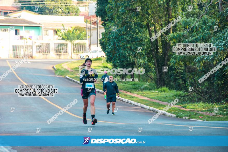 Brasil Corridas - Run 15km - Londrina