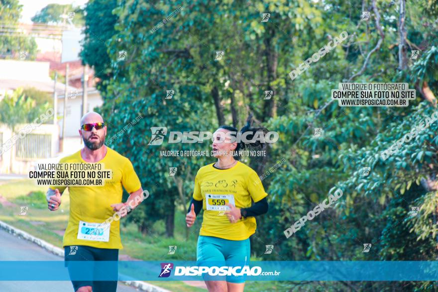 Brasil Corridas - Run 15km - Londrina