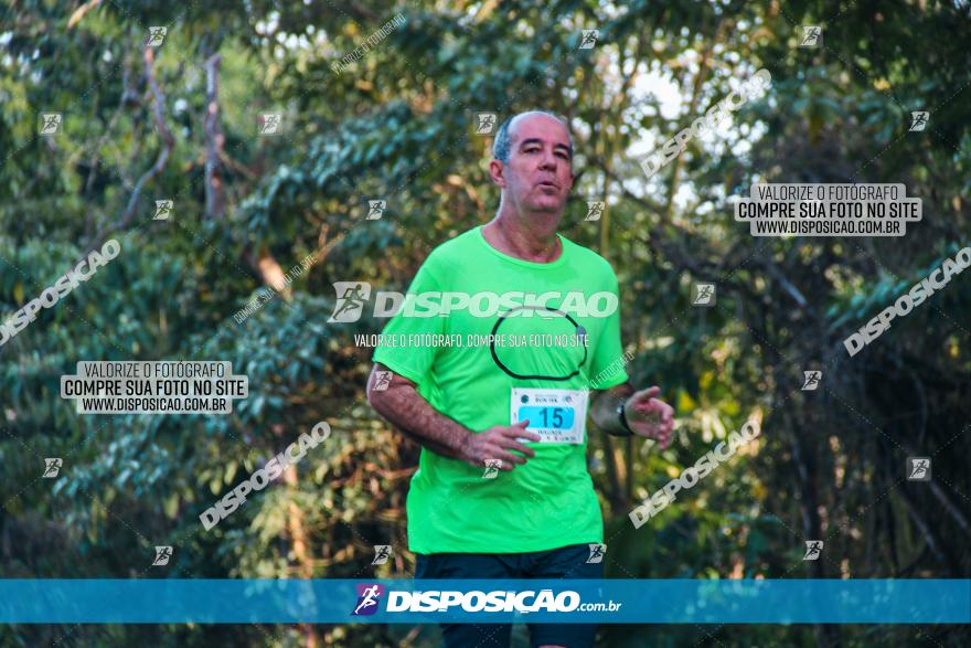 Brasil Corridas - Run 15km - Londrina