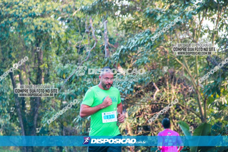 Brasil Corridas - Run 15km - Londrina