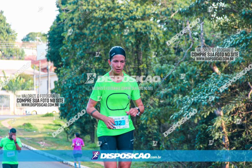 Brasil Corridas - Run 15km - Londrina