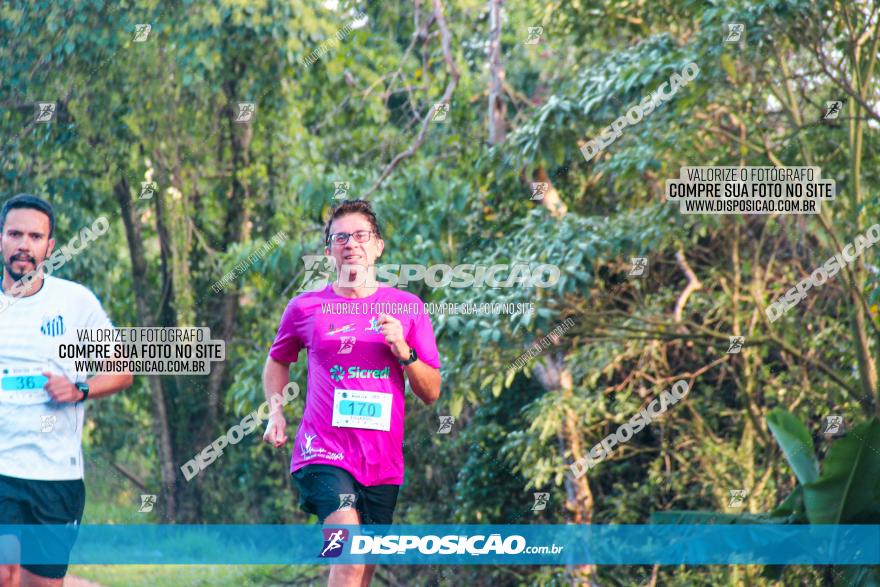 Brasil Corridas - Run 15km - Londrina