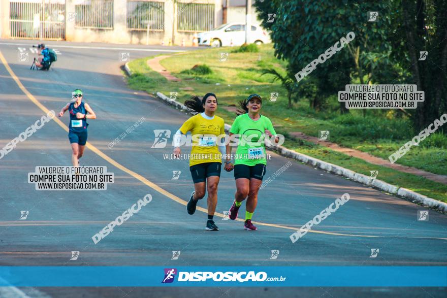 Brasil Corridas - Run 15km - Londrina