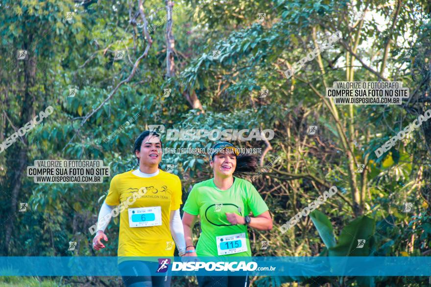 Brasil Corridas - Run 15km - Londrina