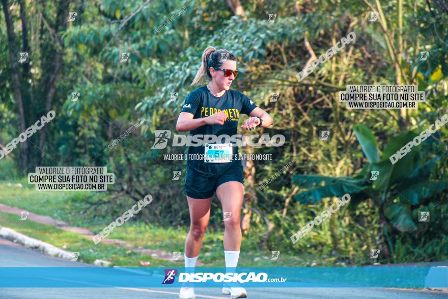 Brasil Corridas - Run 15km - Londrina