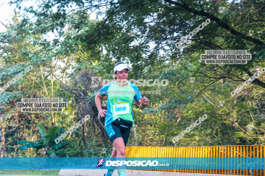 Brasil Corridas - Run 15km - Londrina