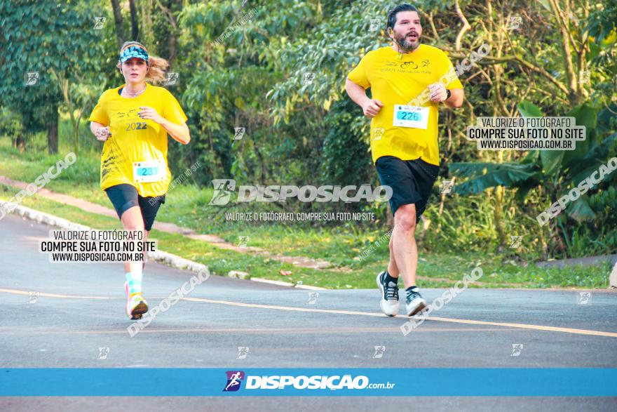 Brasil Corridas - Run 15km - Londrina