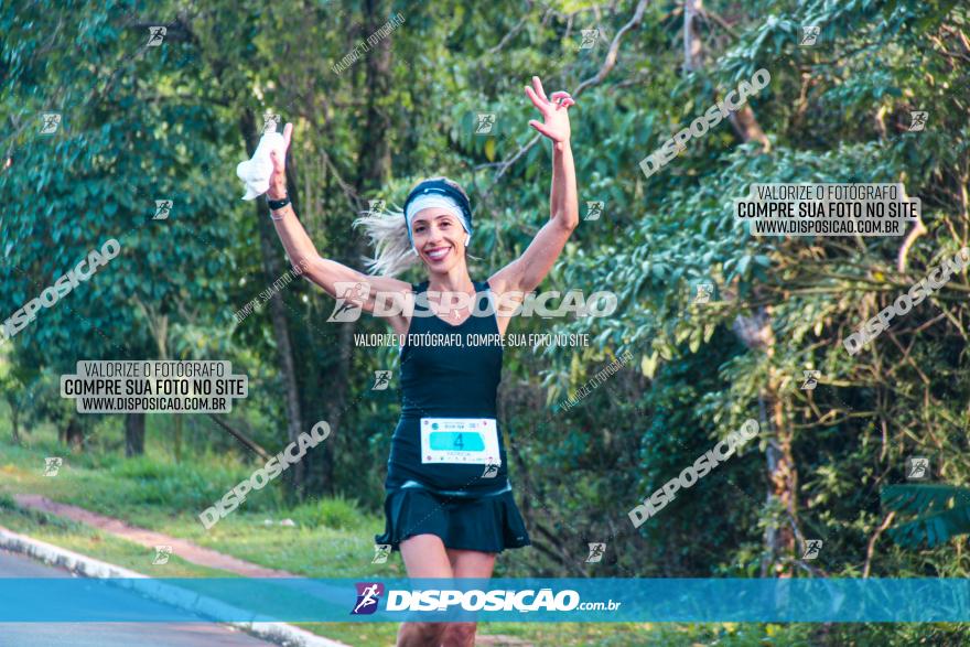 Brasil Corridas - Run 15km - Londrina