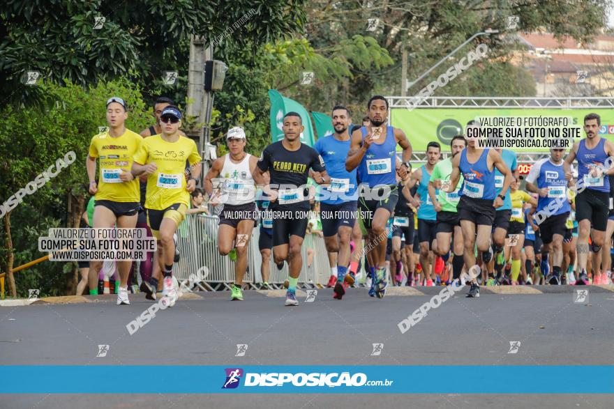 Brasil Corridas - Run 15km - Londrina