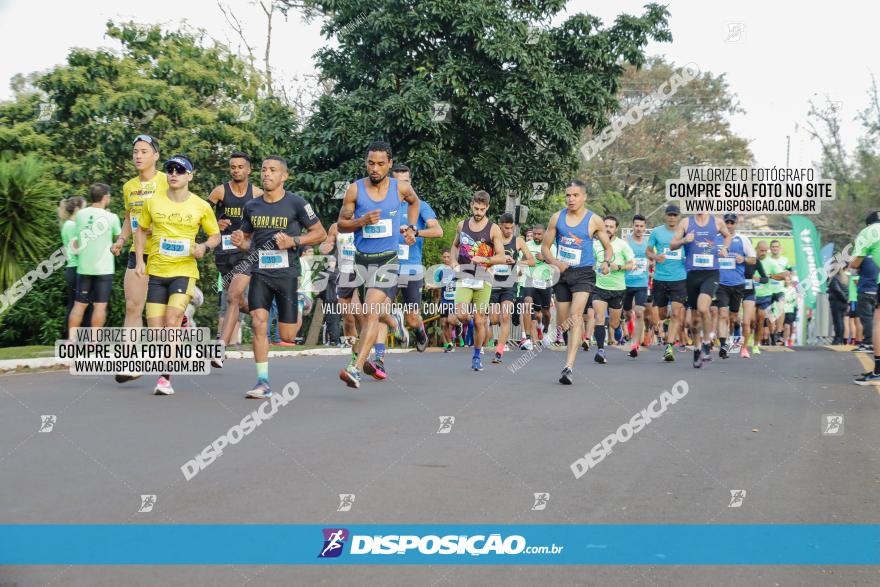 Brasil Corridas - Run 15km - Londrina