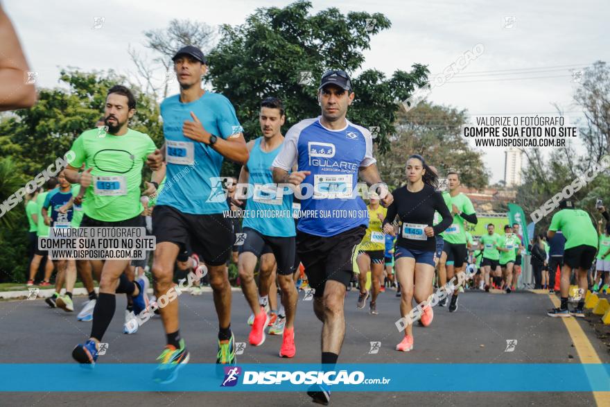 Brasil Corridas - Run 15km - Londrina