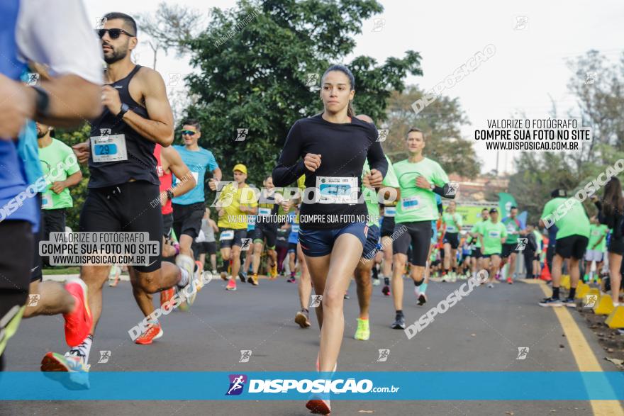 Brasil Corridas - Run 15km - Londrina