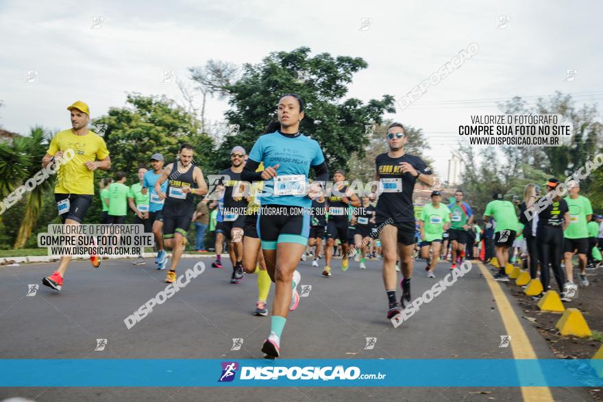 Brasil Corridas - Run 15km - Londrina