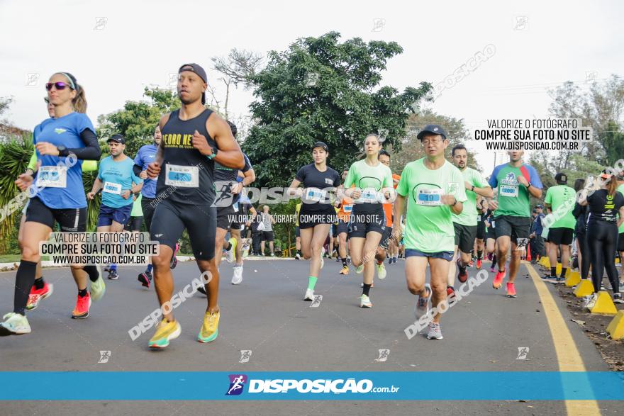 Brasil Corridas - Run 15km - Londrina