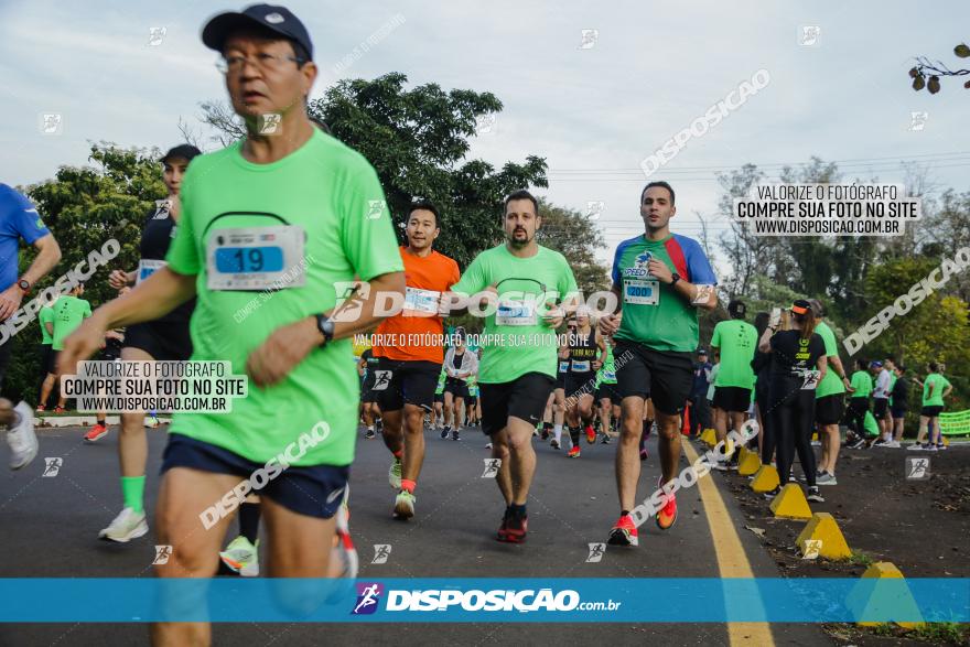 Brasil Corridas - Run 15km - Londrina