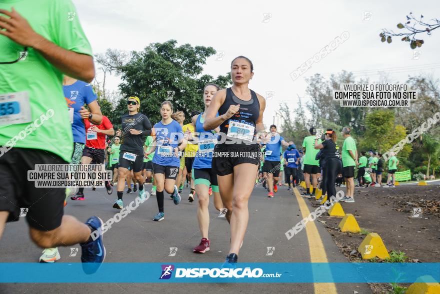 Brasil Corridas - Run 15km - Londrina