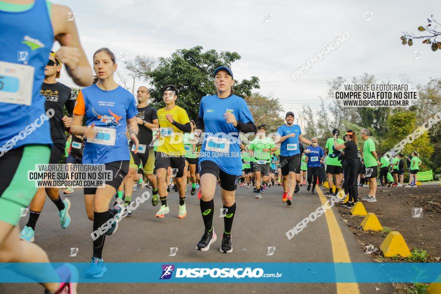 Brasil Corridas - Run 15km - Londrina