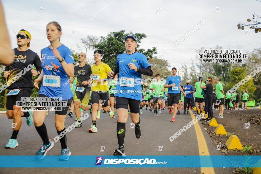 Brasil Corridas - Run 15km - Londrina