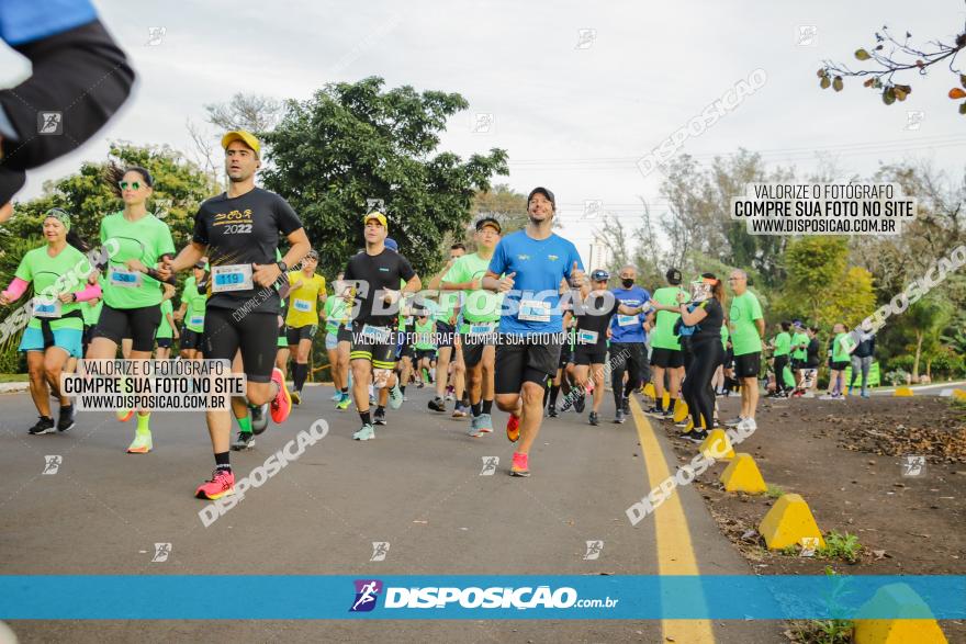 Brasil Corridas - Run 15km - Londrina