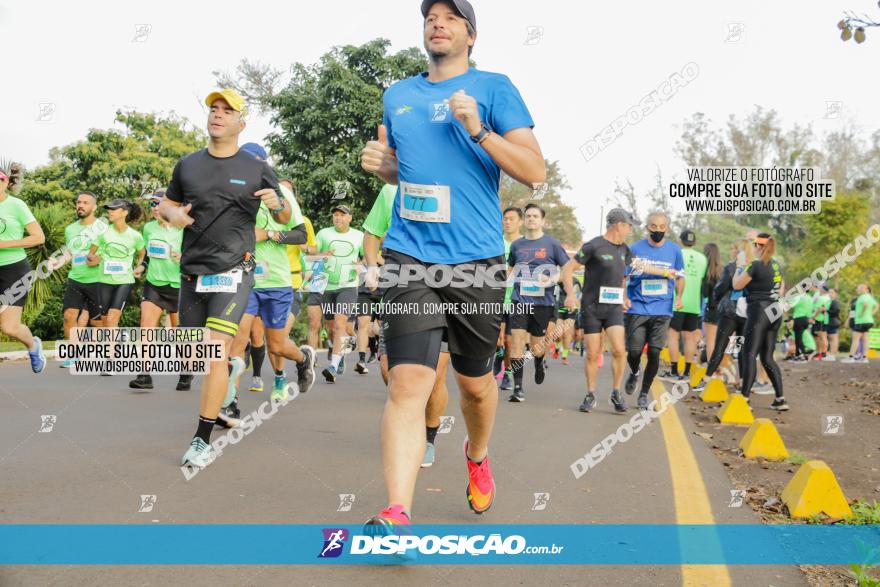 Brasil Corridas - Run 15km - Londrina