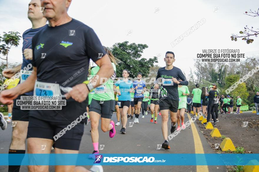 Brasil Corridas - Run 15km - Londrina