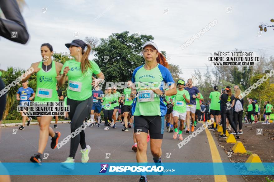 Brasil Corridas - Run 15km - Londrina