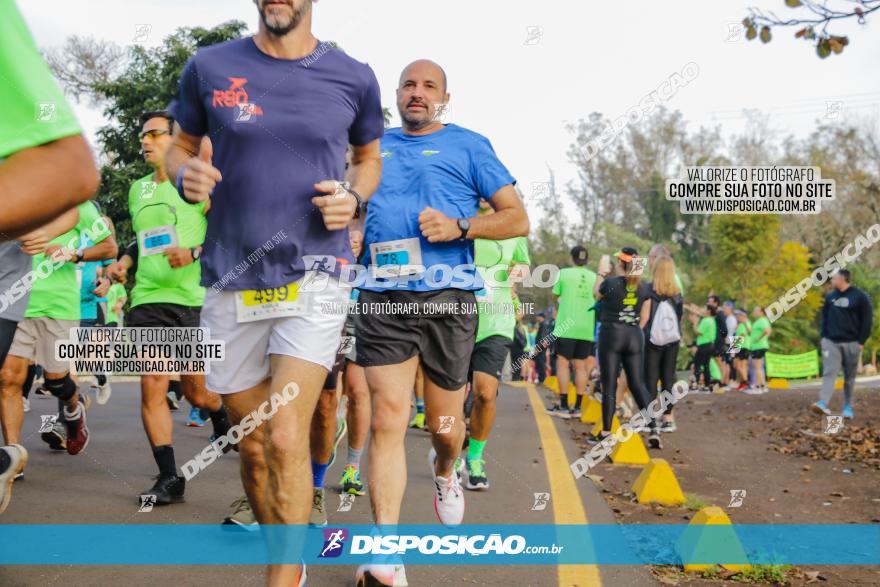 Brasil Corridas - Run 15km - Londrina