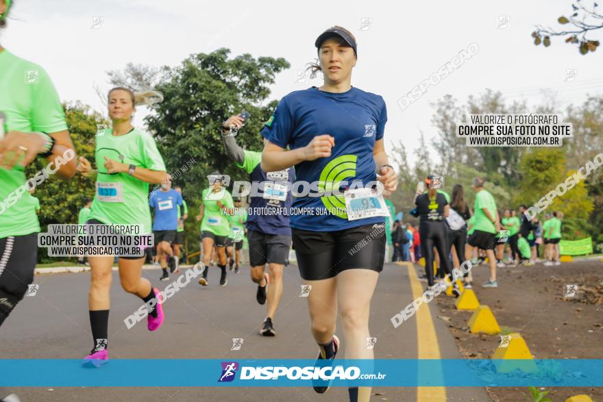 Brasil Corridas - Run 15km - Londrina