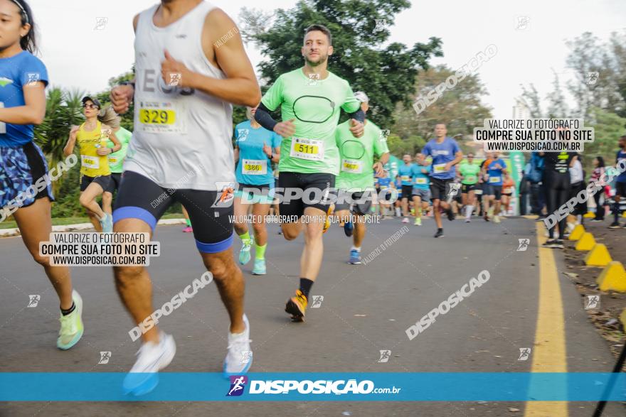 Brasil Corridas - Run 15km - Londrina