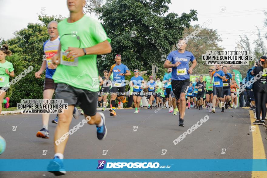 Brasil Corridas - Run 15km - Londrina