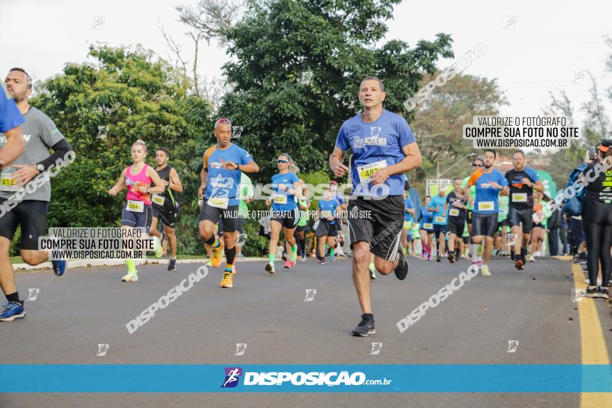 Brasil Corridas - Run 15km - Londrina