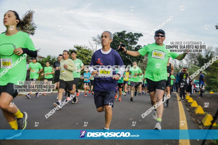 Brasil Corridas - Run 15km - Londrina