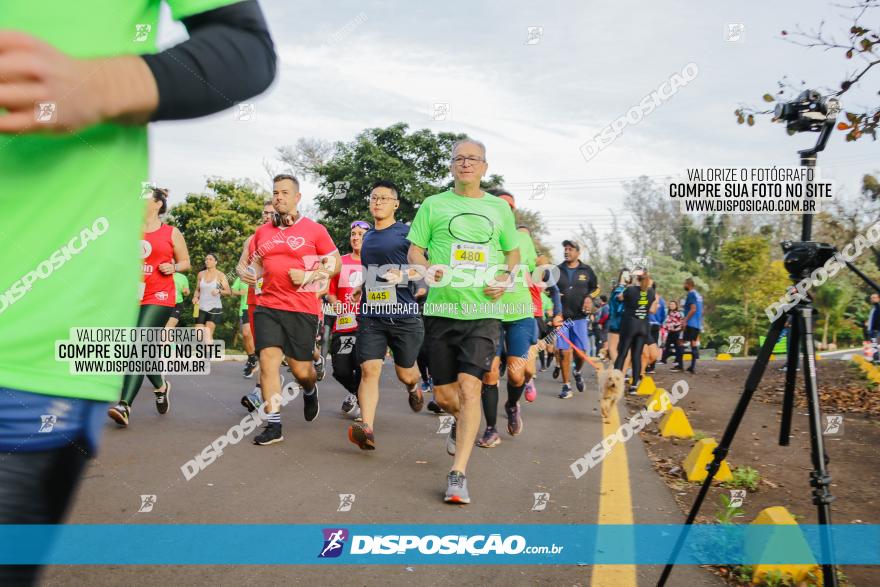 Brasil Corridas - Run 15km - Londrina