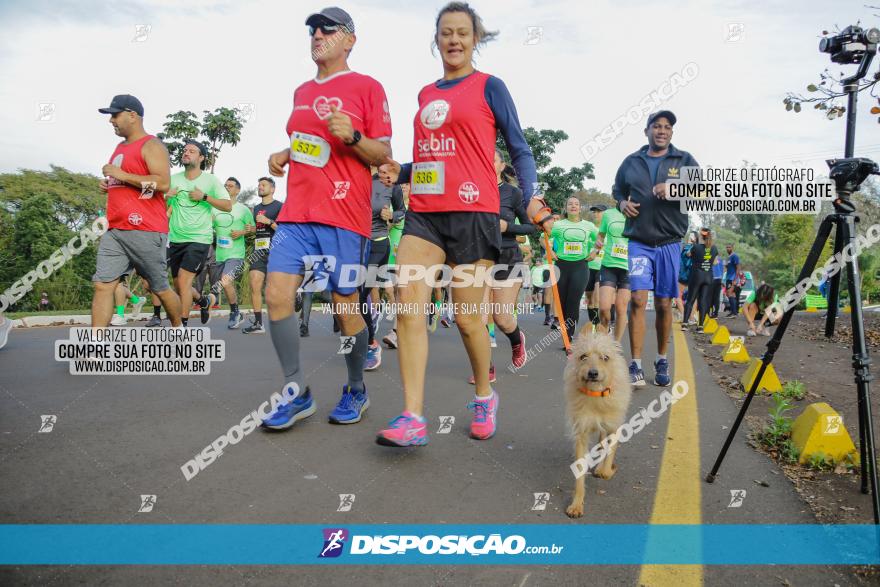 Brasil Corridas - Run 15km - Londrina