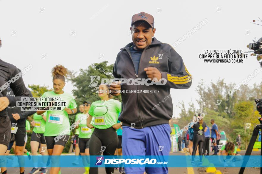 Brasil Corridas - Run 15km - Londrina