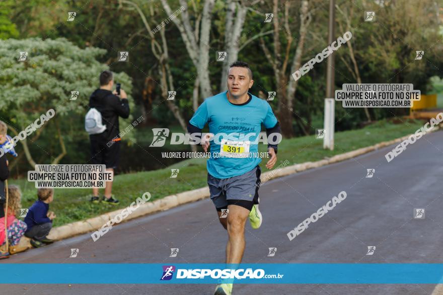 Brasil Corridas - Run 15km - Londrina