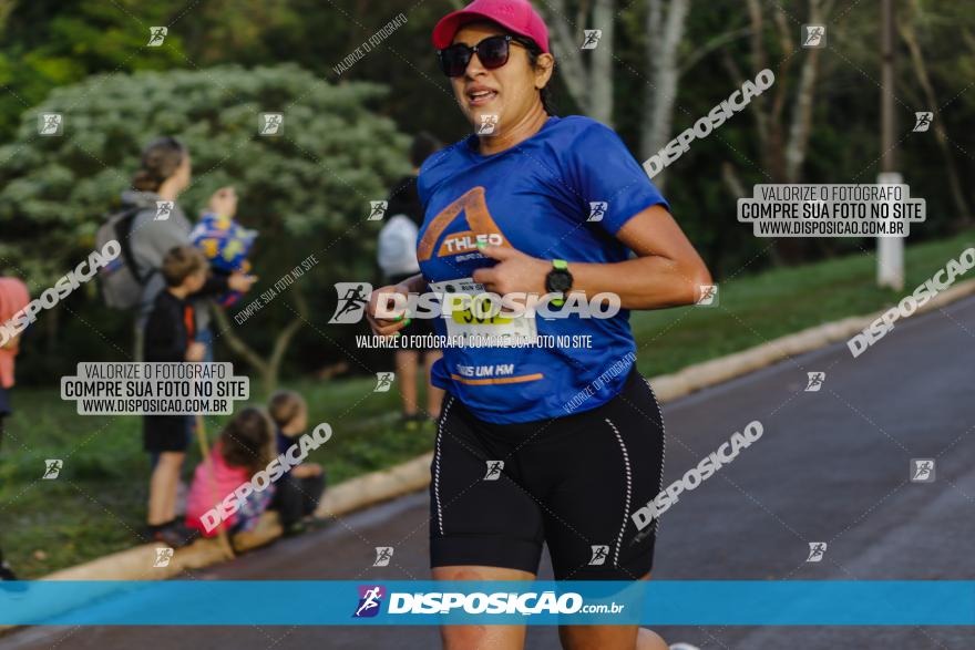 Brasil Corridas - Run 15km - Londrina