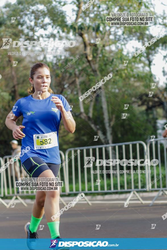 Brasil Corridas - Run 15km - Londrina