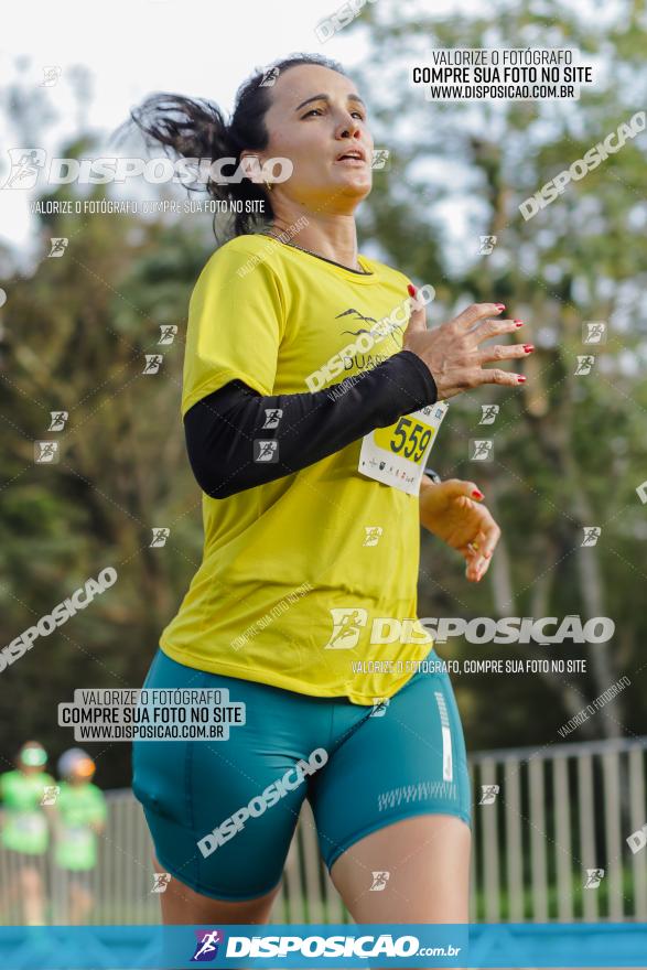 Brasil Corridas - Run 15km - Londrina