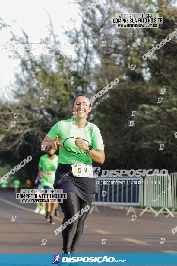 Brasil Corridas - Run 15km - Londrina