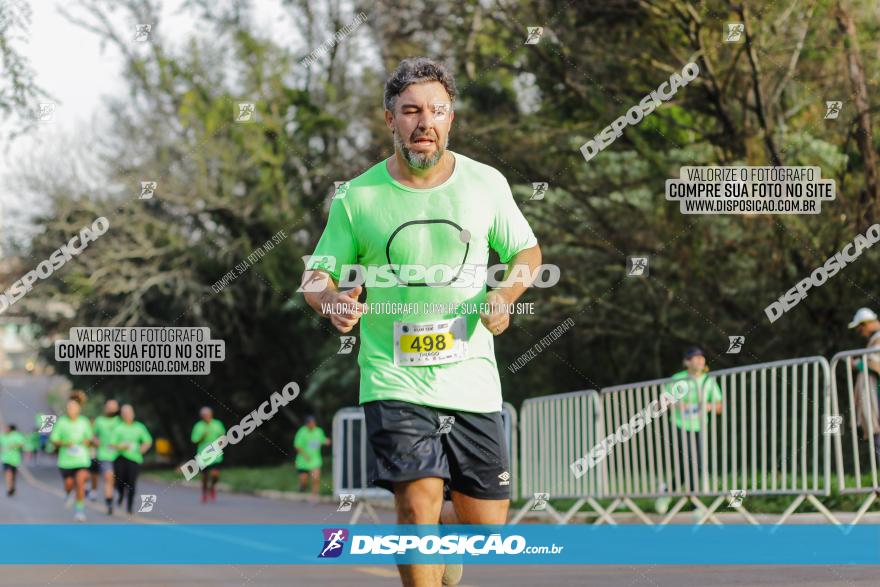 Brasil Corridas - Run 15km - Londrina