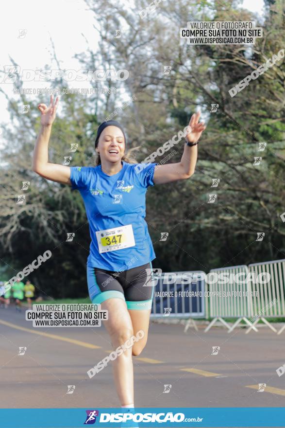 Brasil Corridas - Run 15km - Londrina