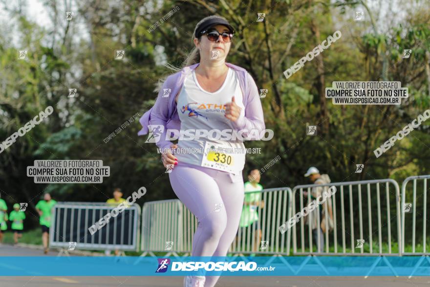 Brasil Corridas - Run 15km - Londrina